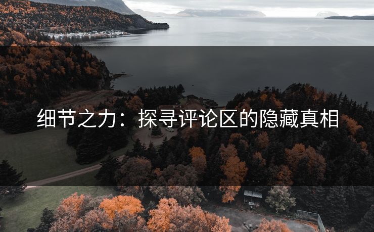 细节之力：探寻评论区的隐藏真相