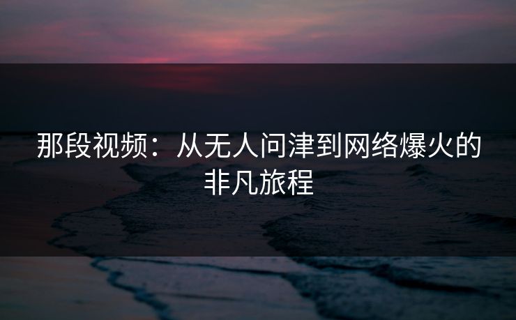那段视频：从无人问津到网络爆火的非凡旅程