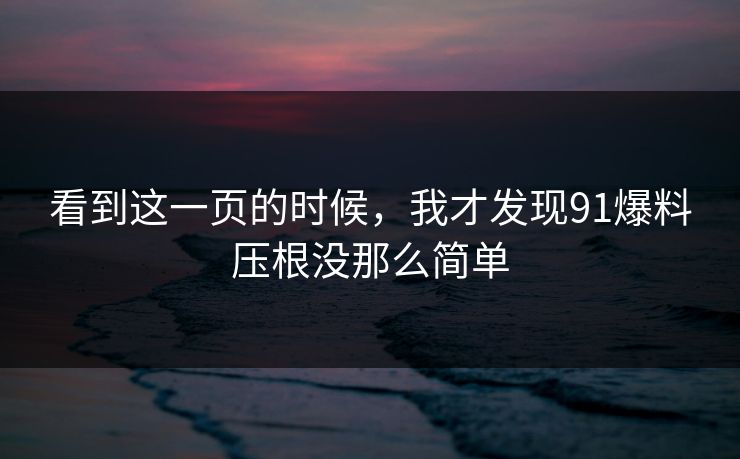 看到这一页的时候，我才发现91爆料压根没那么简单