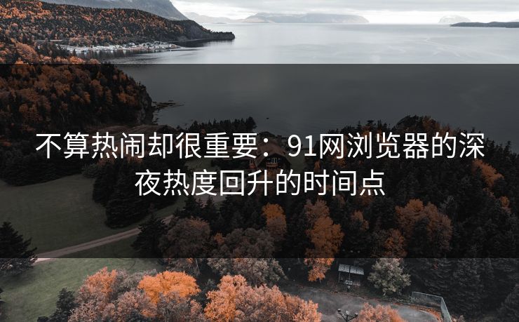 不算热闹却很重要：91网浏览器的深夜热度回升的时间点