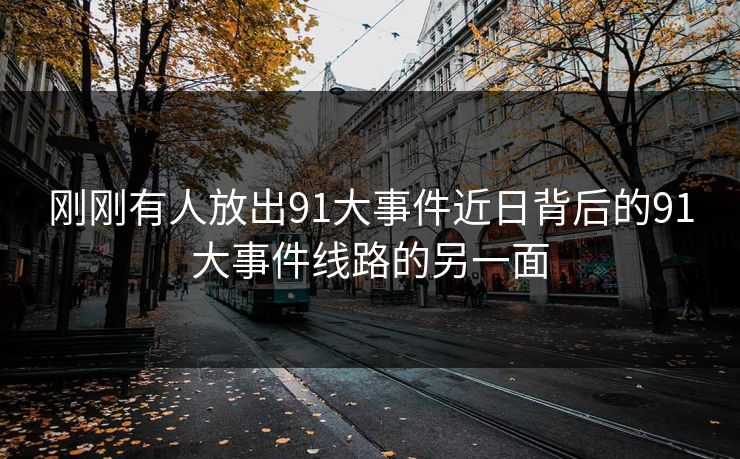 刚刚有人放出91大事件近日背后的91大事件线路的另一面